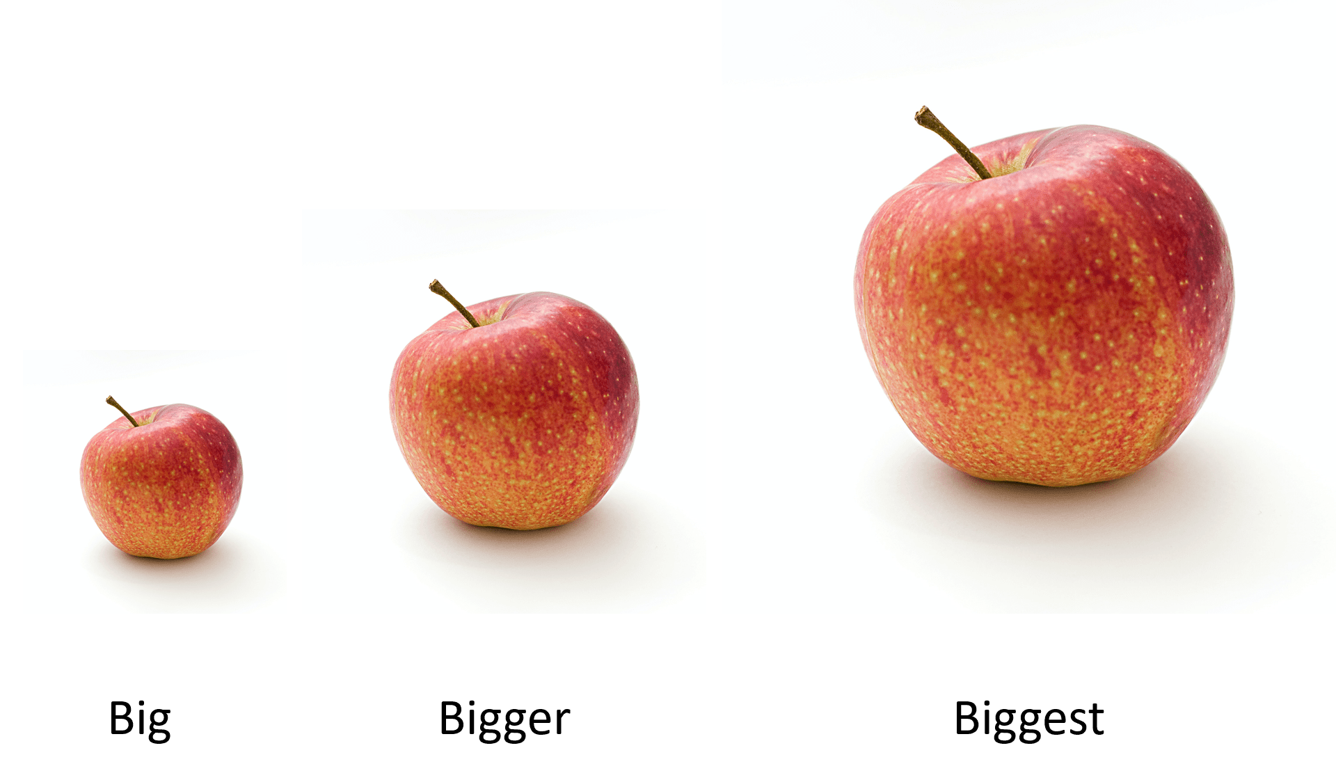 Bigger Or Biggest Grammar